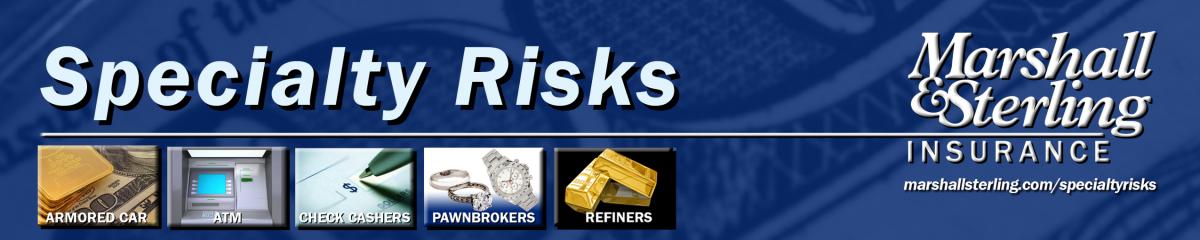 Specialty Risks Division Banner Graphic - Click for more Pawn Insurance information