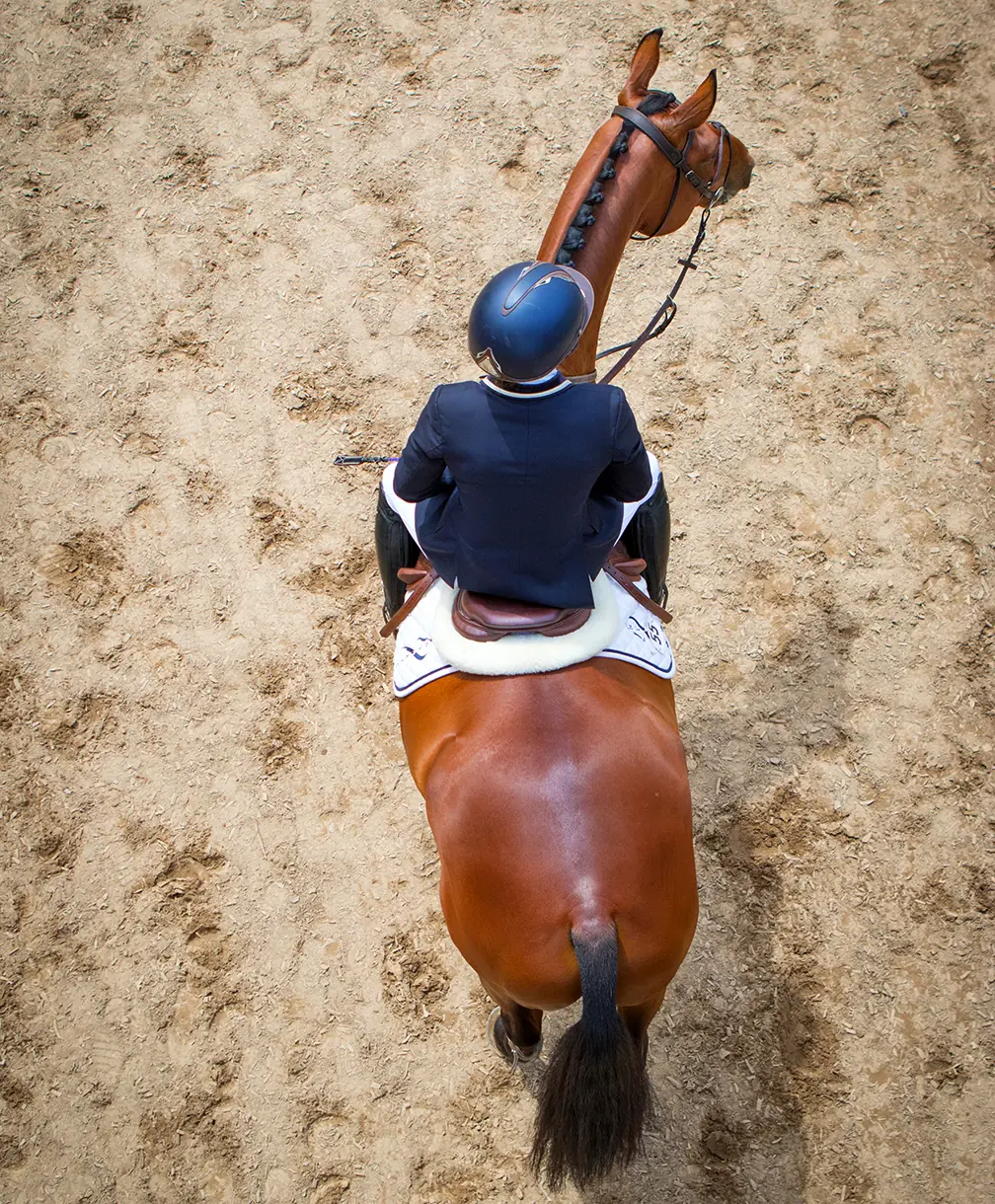 jockey riding on top of a chestnut brown horse