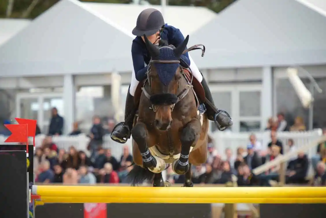 a jockey riding a horse as it goes over a jump obstacle during a competition