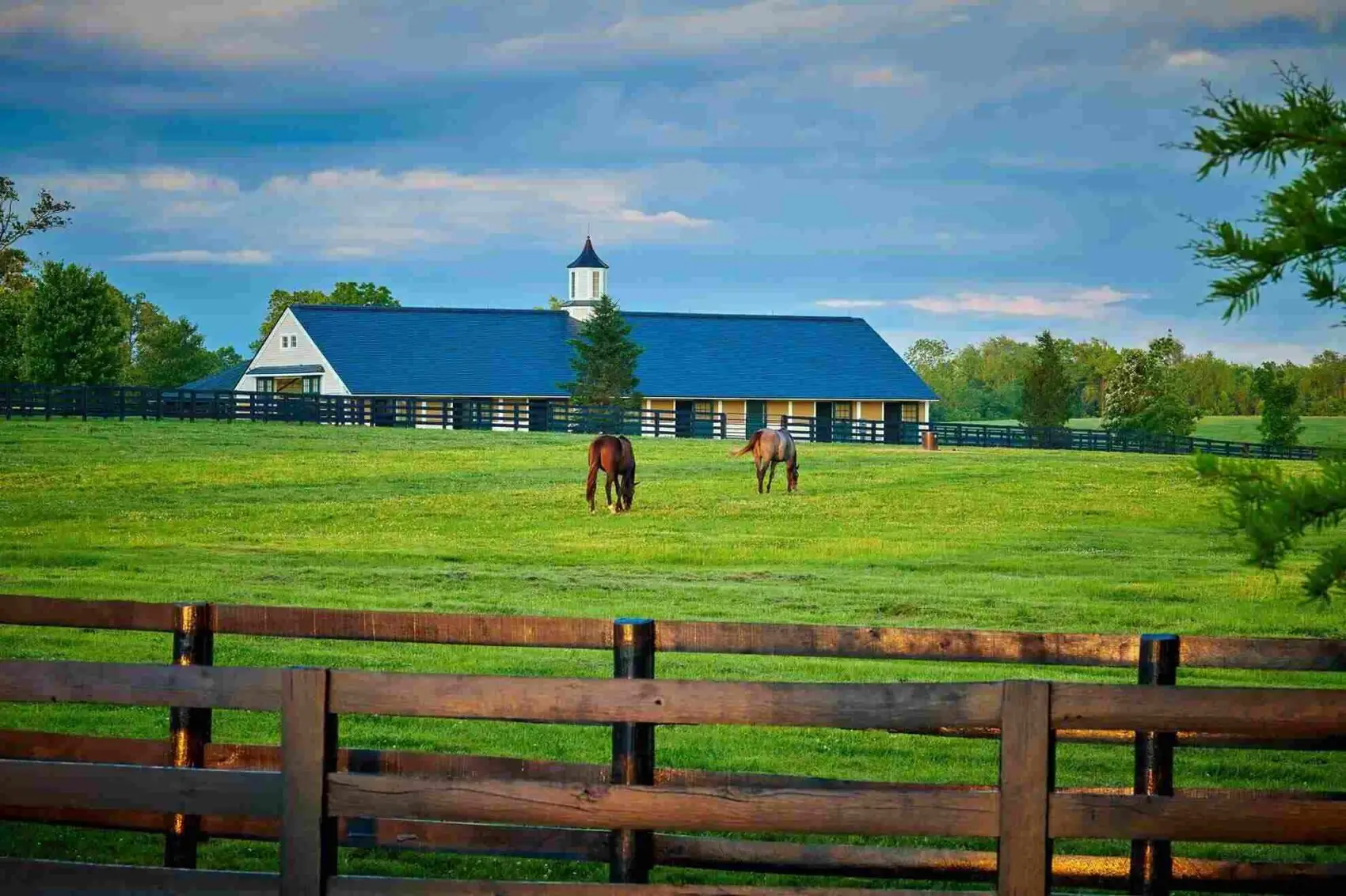 two horses grazing in a field that is fenced in with a barn in the background