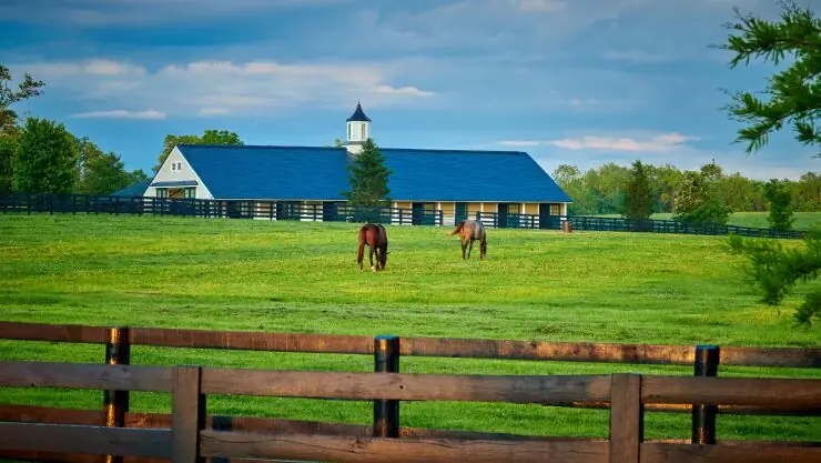 two horses grazing a grass field behind a fence with a barn behind them